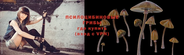 PSILOCYBIN Верхнеуральск
