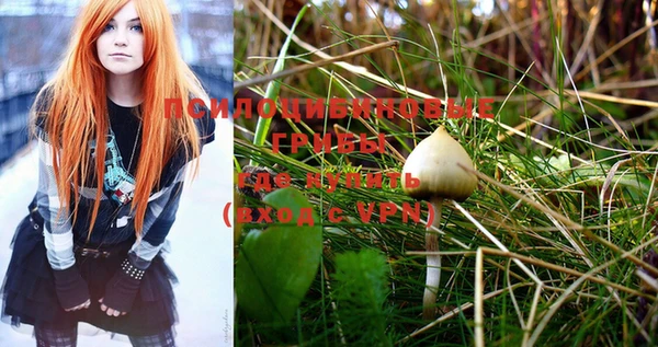 PSILOCYBIN Верхнеуральск